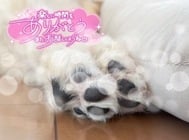 대형 개 수준의 포용력으로 마중하겠습니까??