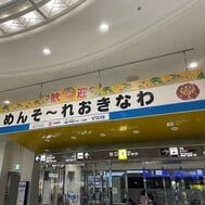 오키나와 도착한 유🌴🌺✈