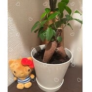실은 〇〇입니다 💕