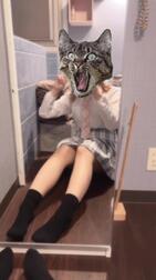 오늘