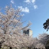 예약 매진 🙇‍♀️💕
