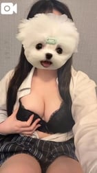 인터넷 예약 한정 ♡