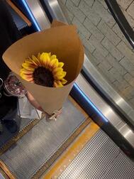 🌻