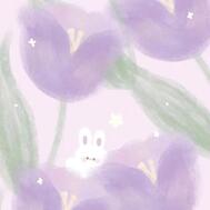 [사례메일기]
