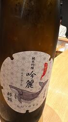 밤이기 때문에 🍸