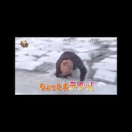 💚20일시간변경 개미💚