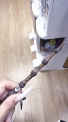 안녕하세요~🌟🐰