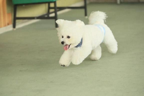휴가
