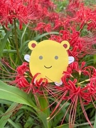 본지명이벤트