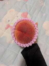 히키코모리