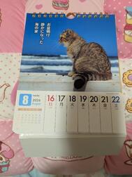 새벽 새벽 조용해진 바다 집