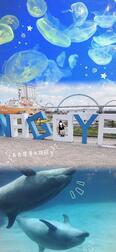 나고야! 🐬🌀