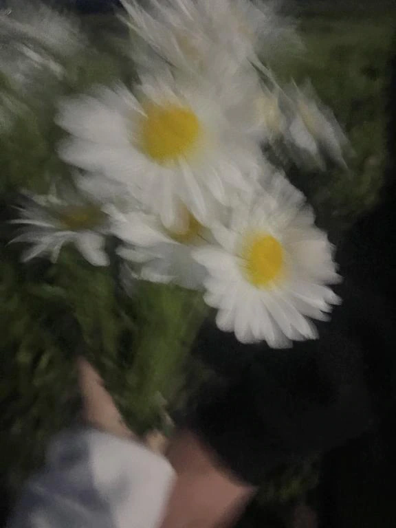 🌸