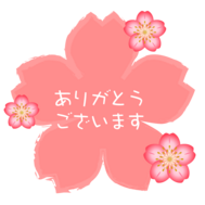 8/21 감사합니다︎