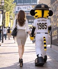 빵 파카 팡! ! !