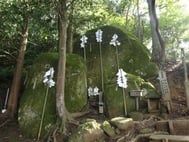 산토신