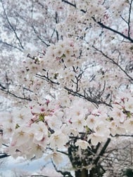 휴가