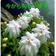 지금부터 향해