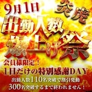 출근 인원 폭발 축제 불꽃 호랑이를 알려드립니다