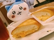 오랜만입니다!