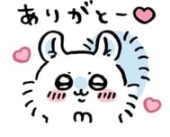 10.09 💌 살구