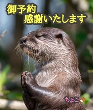 계속 감사합니다 ♡