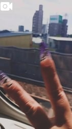 히라라를 잊지 마세요 🥺