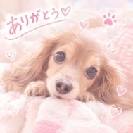 17시 30분~예약해 주신 신규님♡