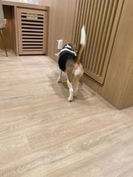 안녕하세요.
