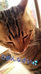 미안해 m(._.)m