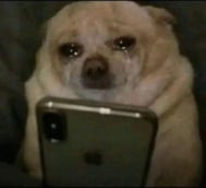 13 일 감사합니다 💌 큰 감사