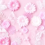 🌸 감사일기