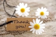 감사합니다...🌹