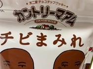 첫눈에 반해