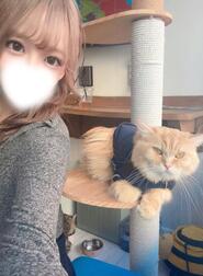 Nyan Nyan이왔다 🐱💗