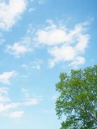 향해요 🙂‍↕️