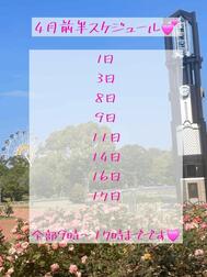 4월 초반스케줄🗓