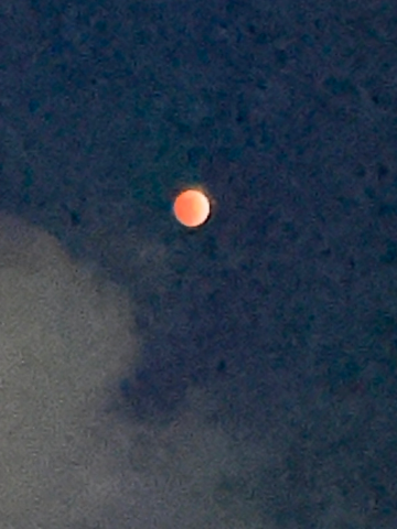 20260303_205824_1ce9ed27448a9fd05673eca5becd5f38.png