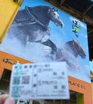 북쪽의 대지로 ✈️