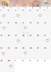 임시 예정