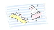 🐰💤