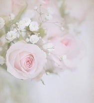 지금 연도도...♡♡