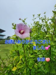 어제 감사합니다.