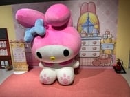 기다렸습니다 ✨️