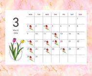 3월🌷