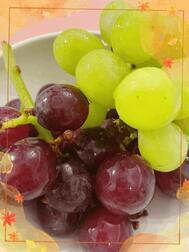 ☀️🍇