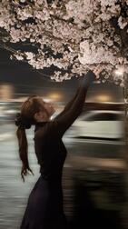 𝐆𝐨𝐨𝐝 𝐧𝐢𝐠𝐡𝐭 ...🌙·̩͙