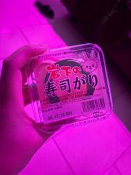 후기🍀