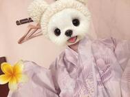 소식입니다 📢✨