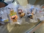 와이🙌✨️